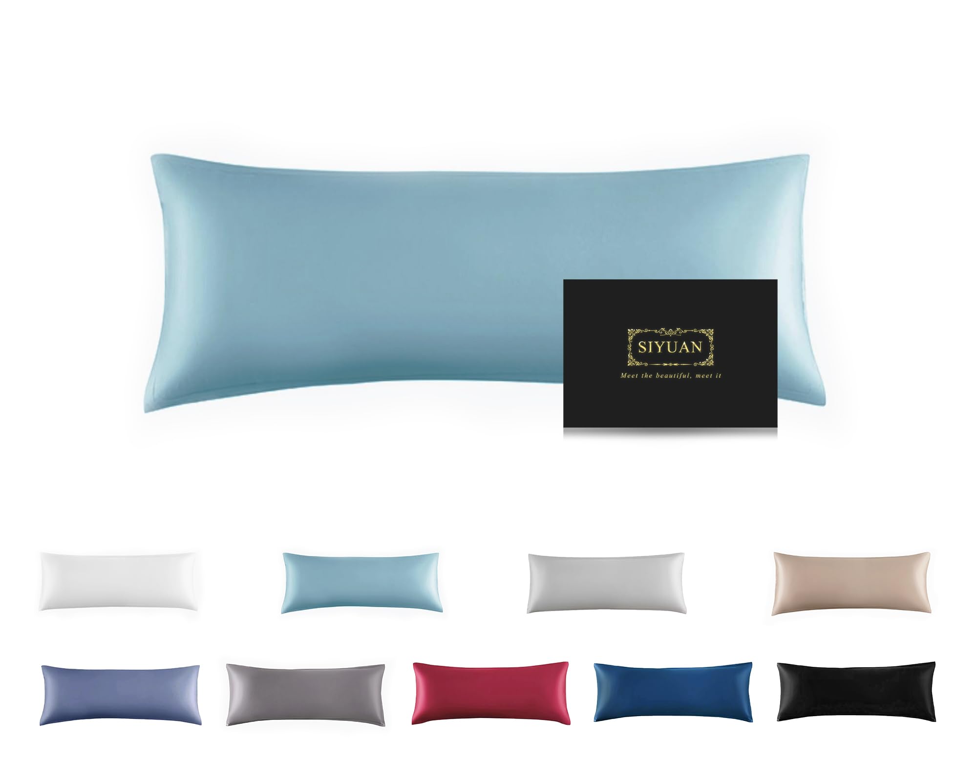 Mulberry Silk Pillowcase for Hair and Skin,Cooling Silk Pillow Case with Hidden Zipper,Allergen Proof Dual Sides Soft Breathable Smooth Silk Pillow Cover for Women (Aqua Blue, Body)