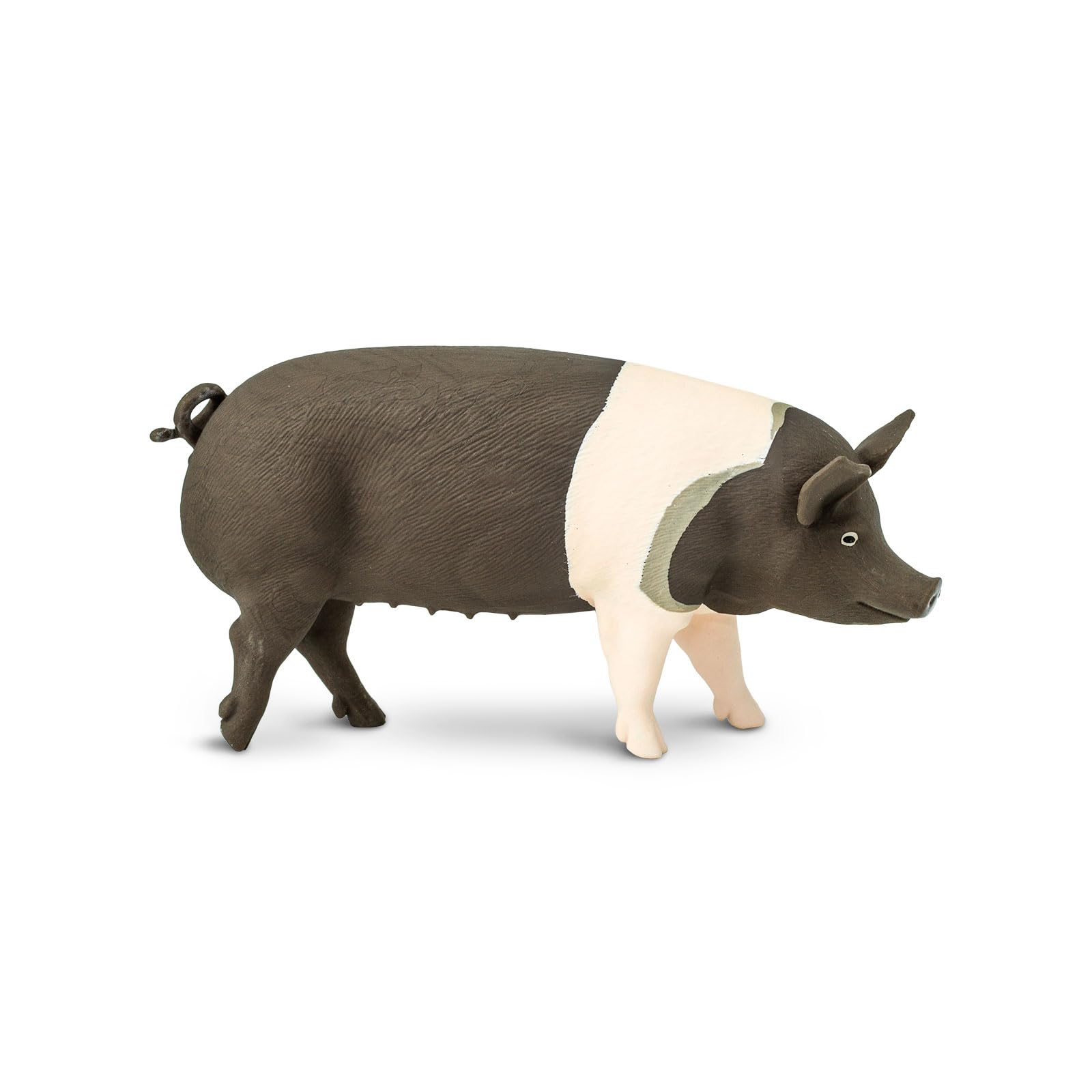 Amazon.com: Safari Ltd. Hampshire Pig Figurine - Lifelike