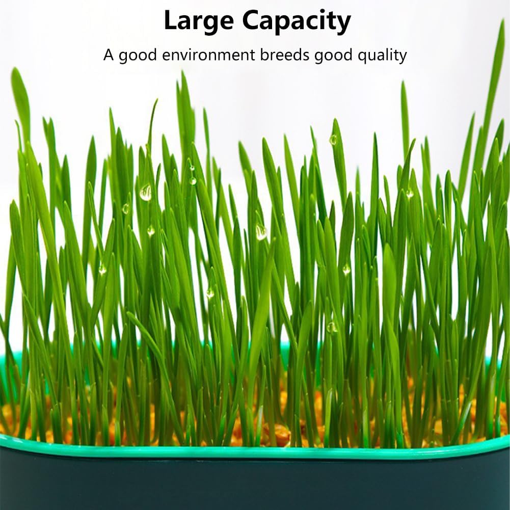 Cat Grass Planter, Hydroponic Cat Grass Box Trays for Sprouts Growing Kits, Indoor Gardening System for Pets, Soil-Free Planter(3PCS)