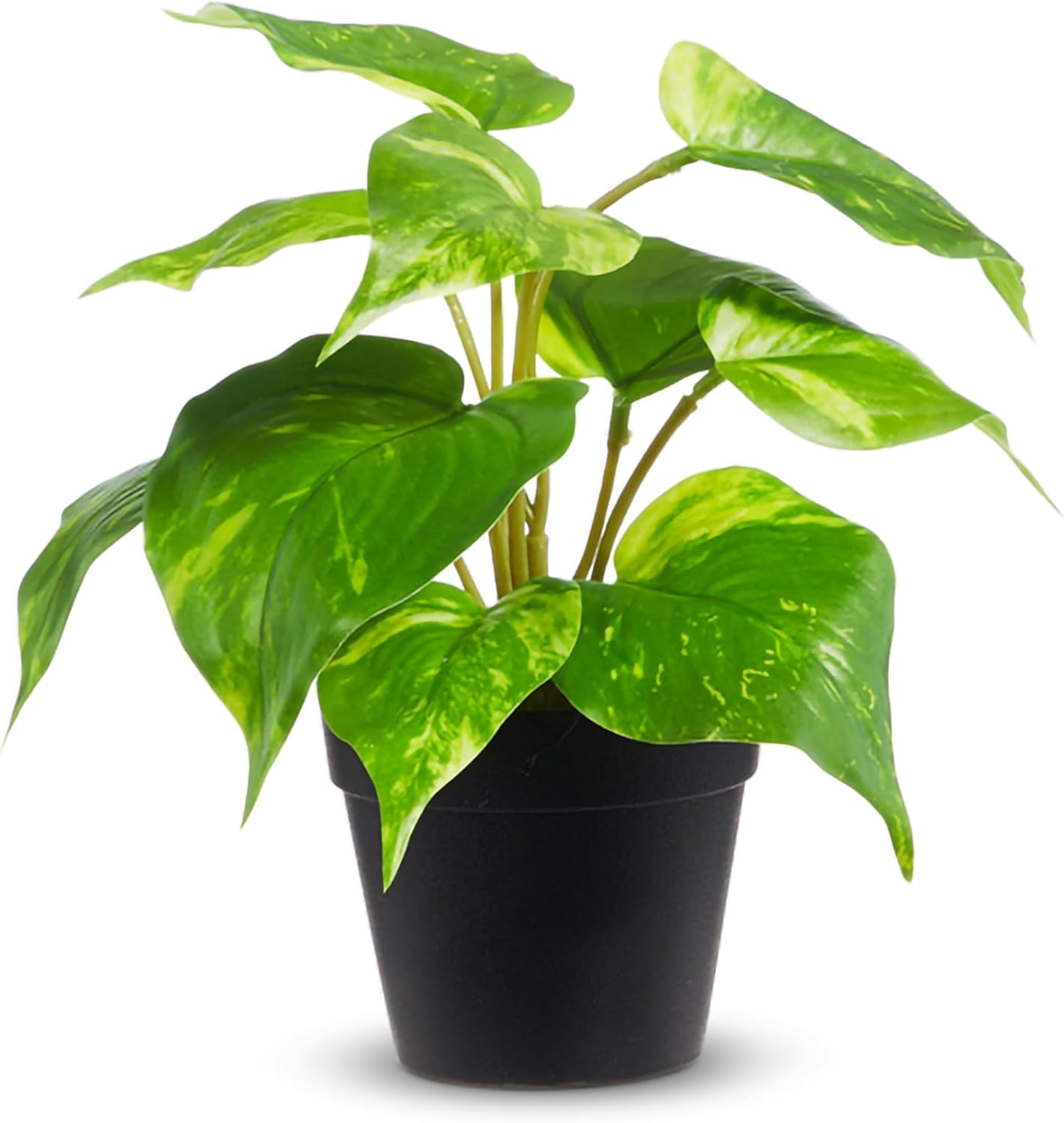 RAZ Imports Golden Pothos – Green 8 x 8.5 Inch Plastic/Fabric Artificial Potted …