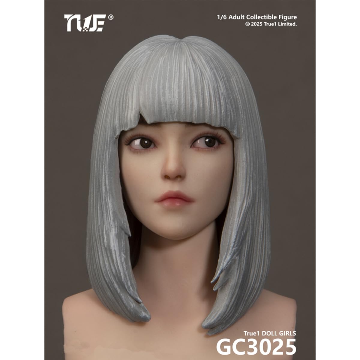 Amazon.co.jp: HiPlay True1Toys 1/6 関節素体 女性 素体 ヘッド付き