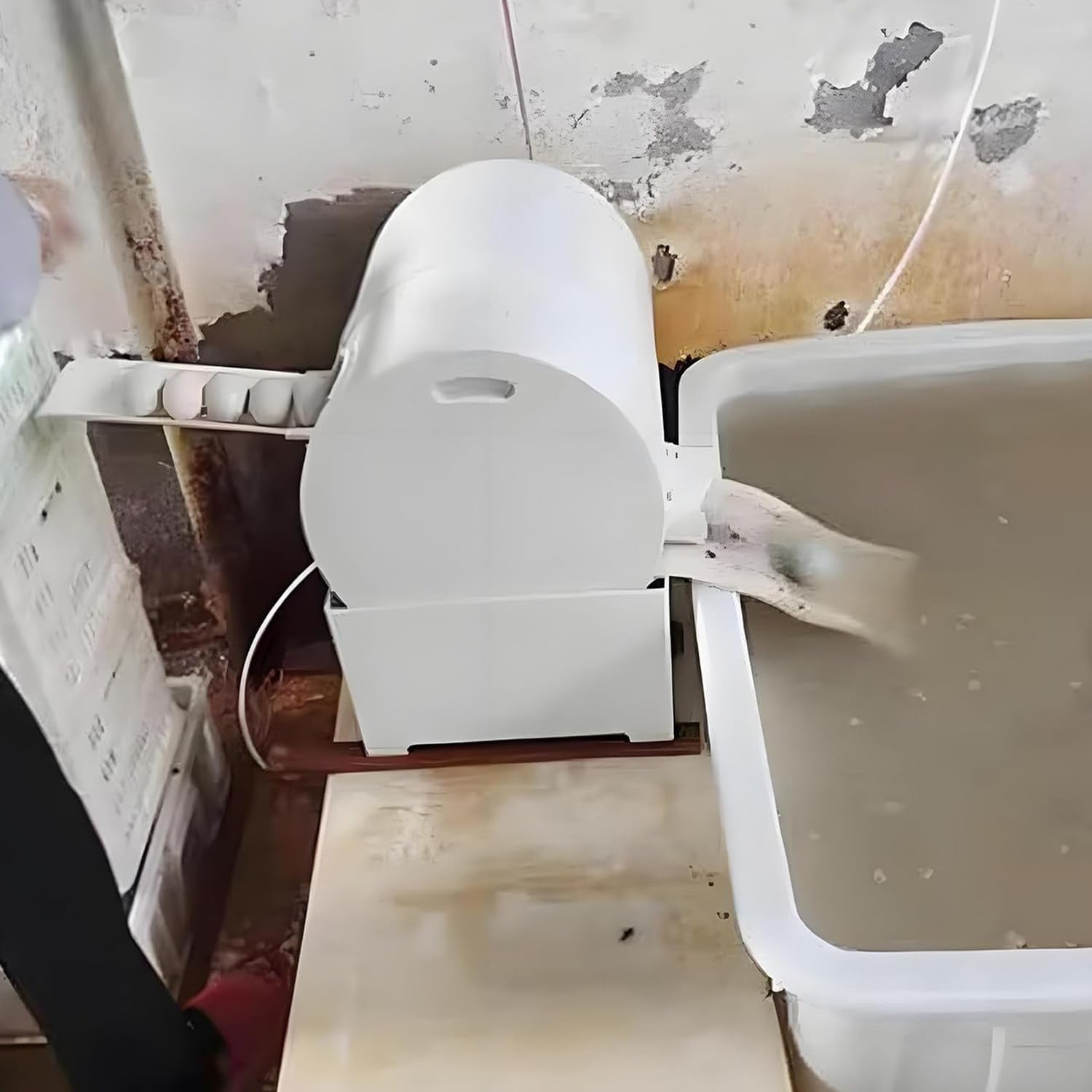 Elektryczna pralka do jajek, automatyczna do użytku komercyjnego i domowego, energooszczędna z silnikiem z czystej miedzi, myje 2300 jaj na godzinę, idealna do zastosowań w gospodarstwie i restauracji