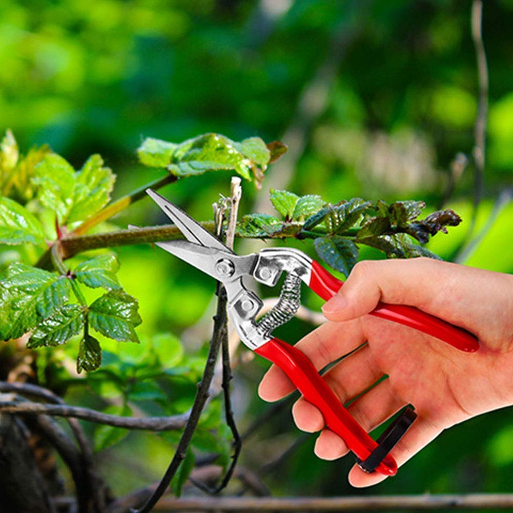 Gerade Gartenschere, Floristenschere mit Sicherheitsverriegelung, vielseitige Gartenschere zum Arrangieren von Blumen, Trimmen von Pflanzen und Ernten von Kräutern, scharfer Garten oder Rasen
