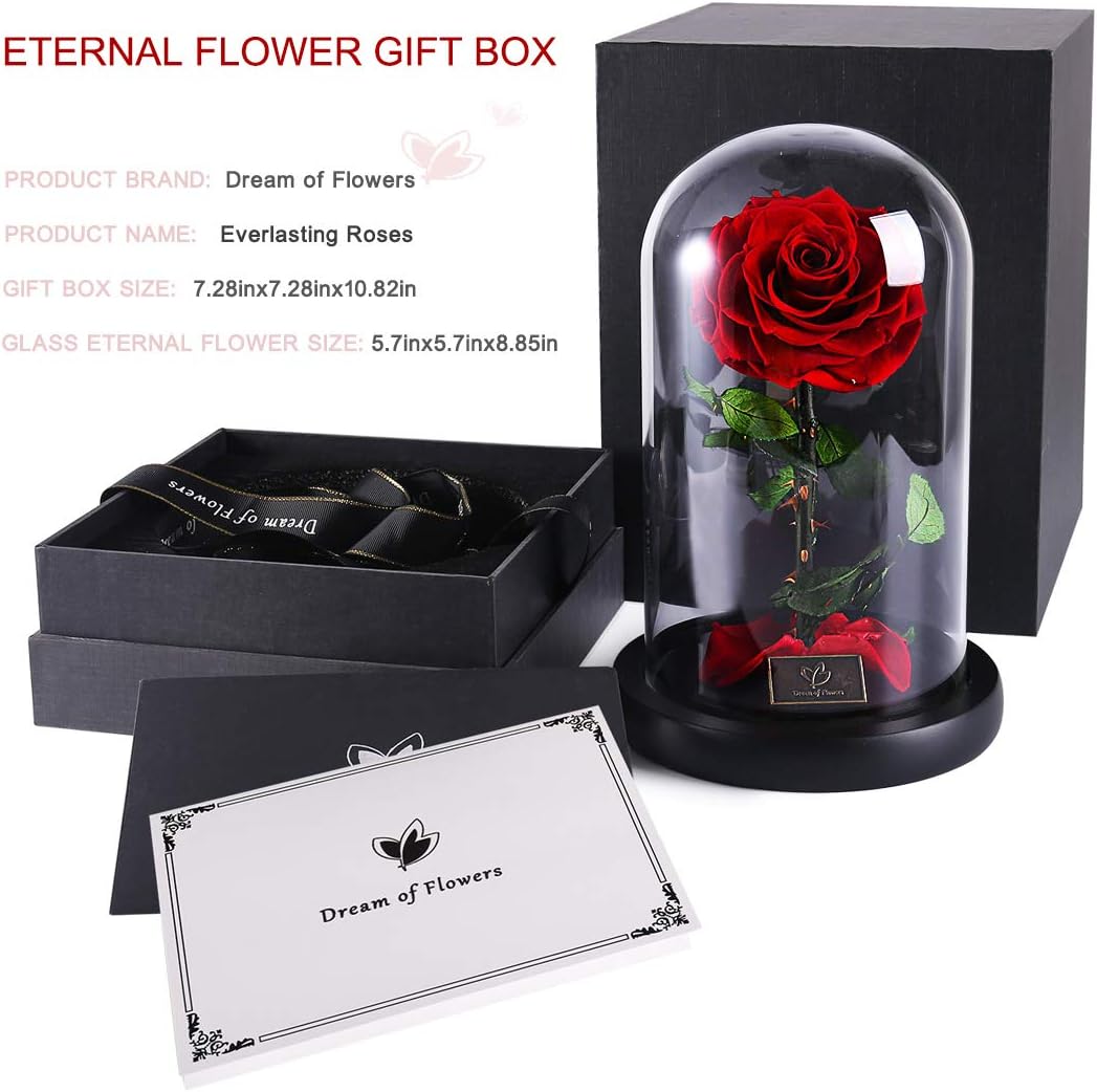 Valentines Day Gifts for Her,Valentines Flowers for Delivery Prime,Beauty and The Beast Rose in Glass Dome,Birthday Gifts for Women Her Mom Wife Girlfriend Grandma on Mother‘s Day Anniversary - Image 8