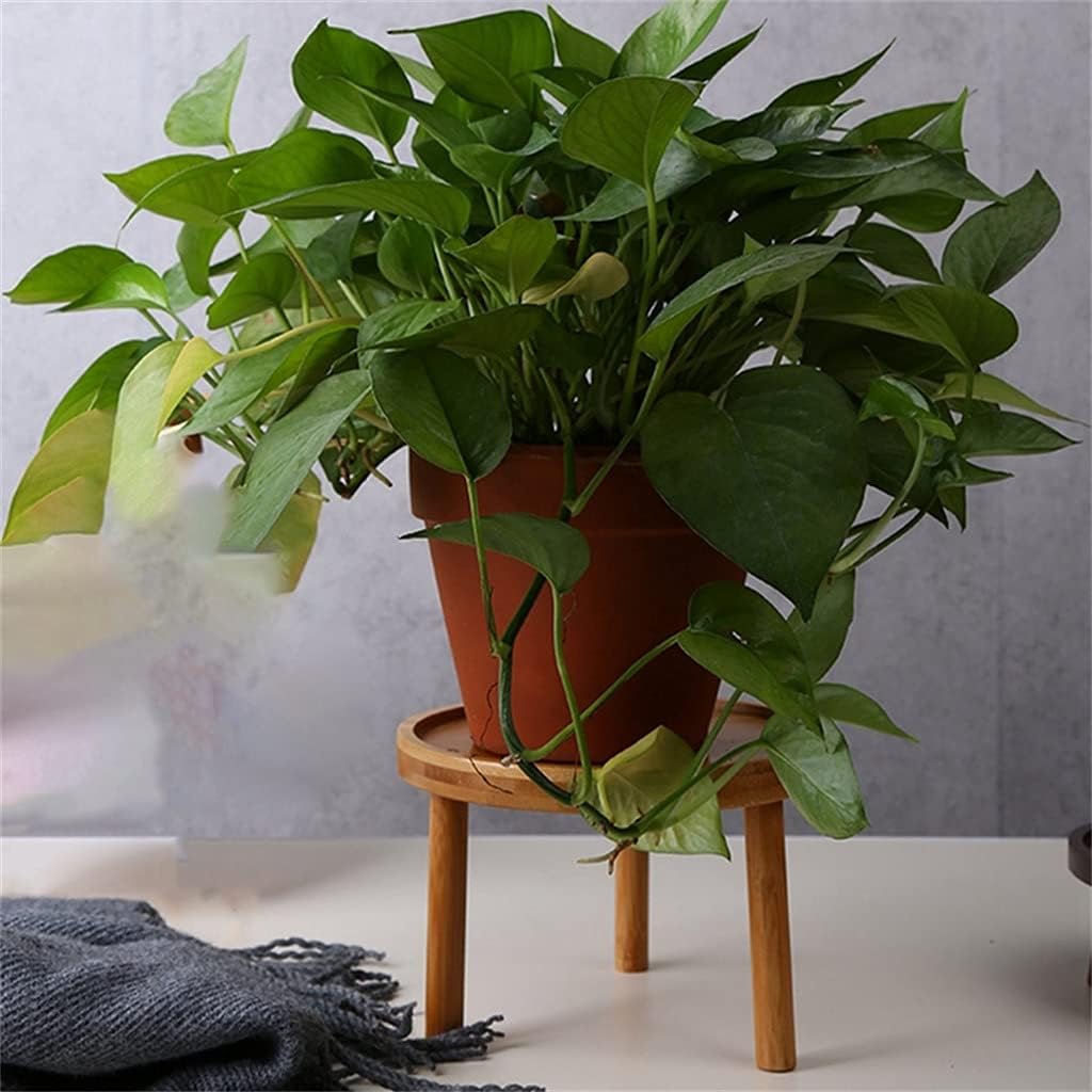 2 Pc Wooden Plant Stand Flower Pot Base Holder Stool High Stool Balcony Succulent Round Flower Shelf