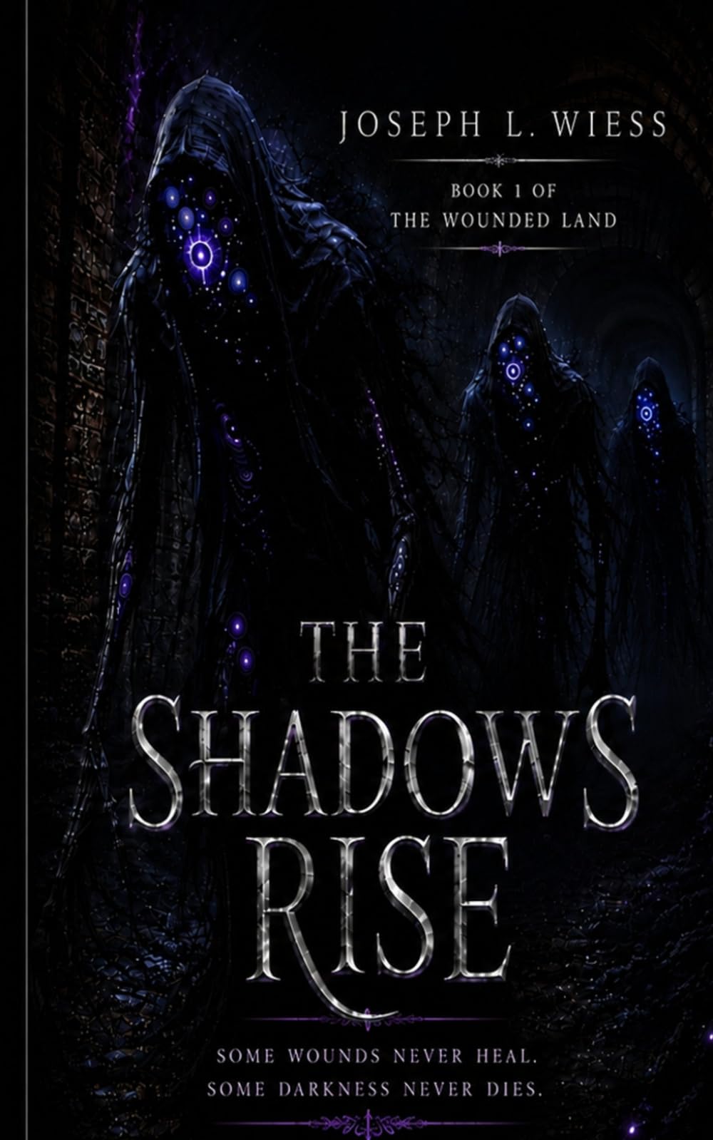 The Shadows Rise (The Wounded Lands)