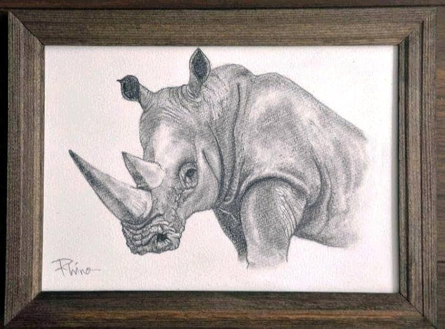 【鉛筆画】原画 Amazon.co.jp: かっこいいサイ Rhino鉛筆画 原画 一点もの