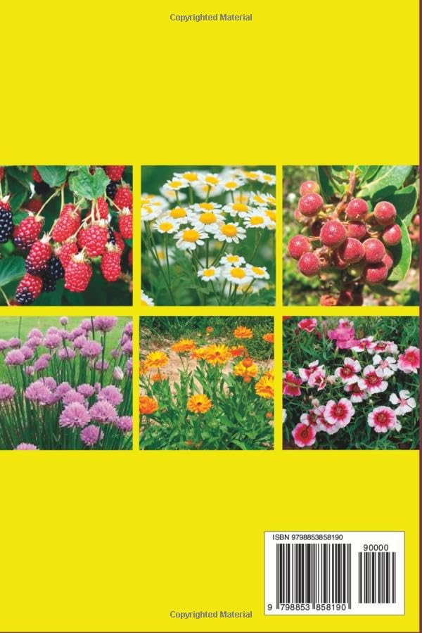 Wild Edible Plants Book Arizona: The Ultimate Guide to the Safe Identification, Wild Edible Plants of Arizona - Image 2