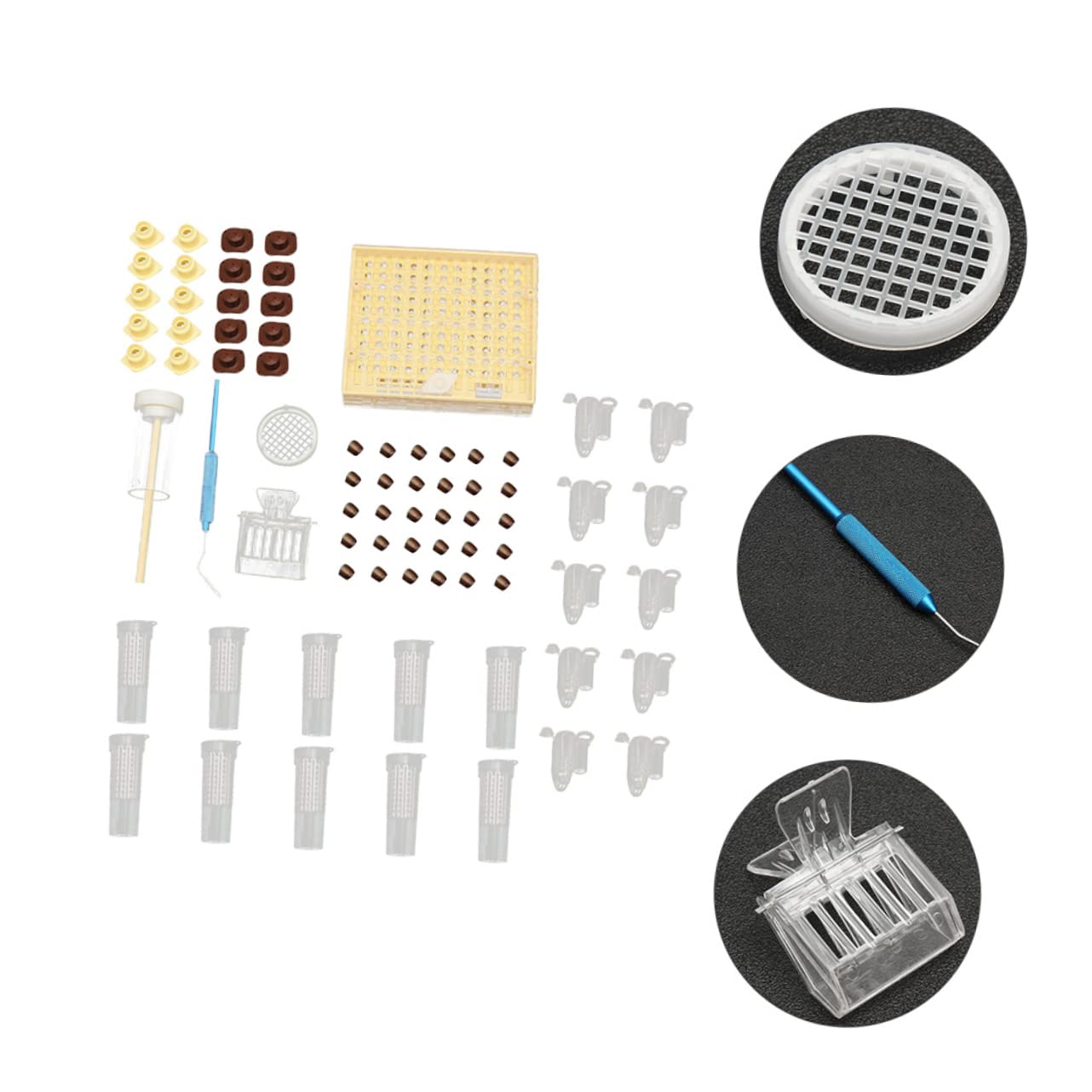 VANZACK Professionale Per Allevamento Regine Api Kit Completo Per Apicoltura Strumenti Per Nutrizione e Allevamento Contenitore Per Facile Da Usare e Trasportare