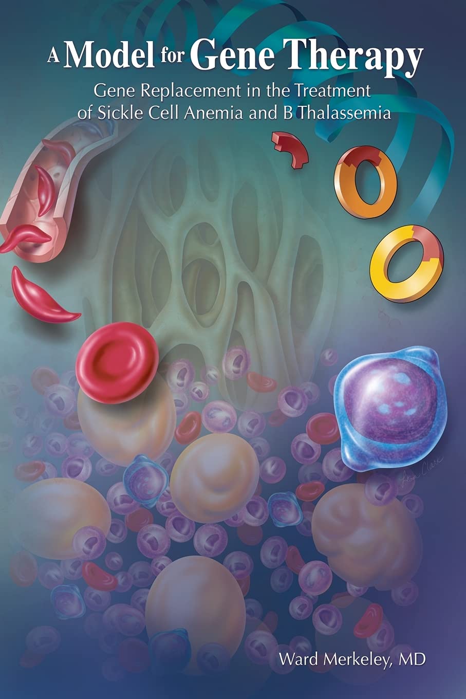 A MODEL FOR GENE THERAPY: Gene Replacement In The Treatment Of Sickle Cell Anemia And ? Thalassemia