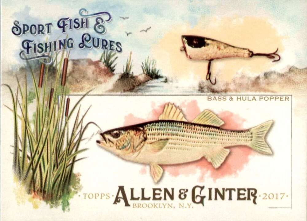 Amazon.com: 2017 Allen and Ginter Sport Fish and Lures #SFL-4 Bass