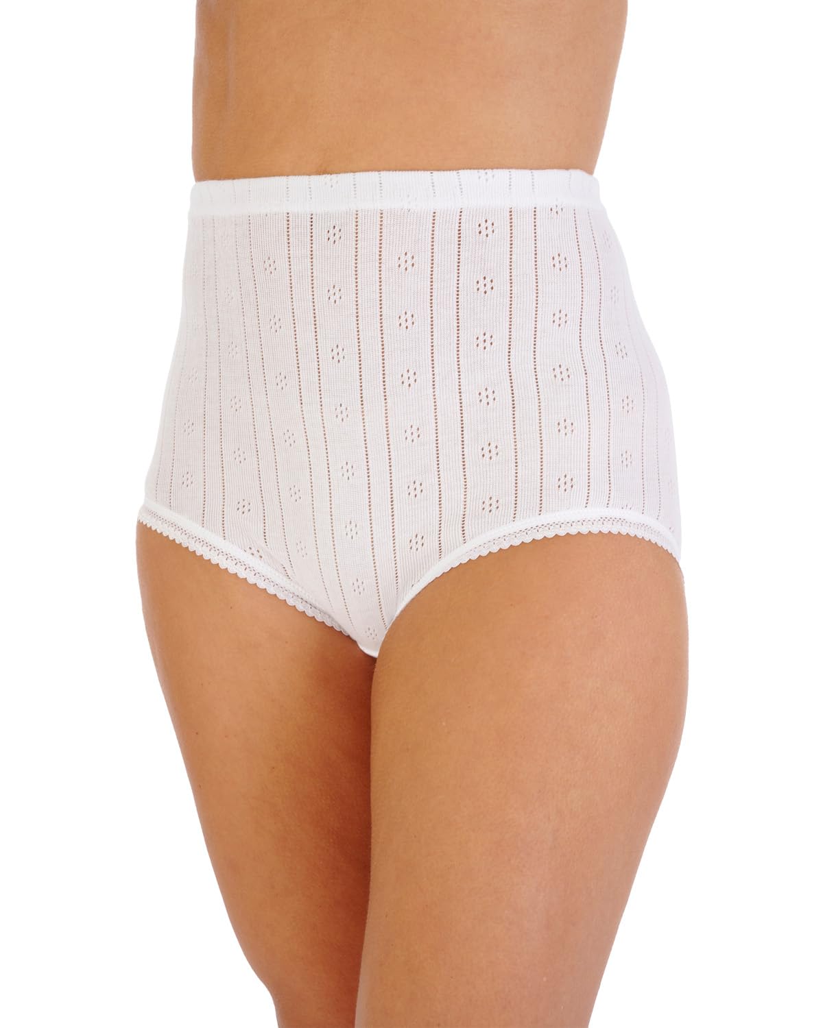 Slenderella Women's White 2 Pack Pointelle Cotton Brief Uw907 Medium
