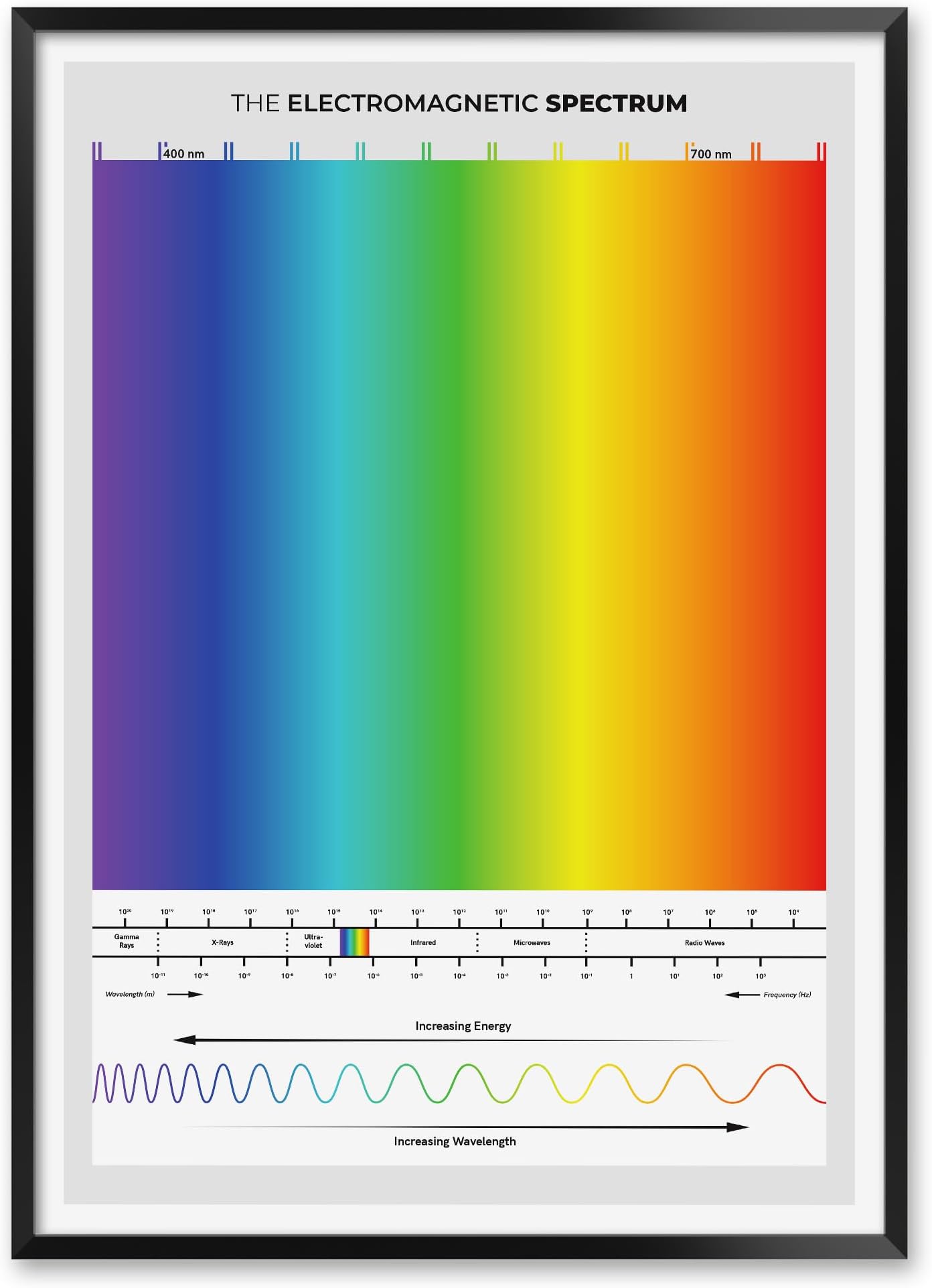 MeloPrints Electromagnetic Spectrum Print, Physics Reference Chart for Students, Educators, and STEM Learners, Gray