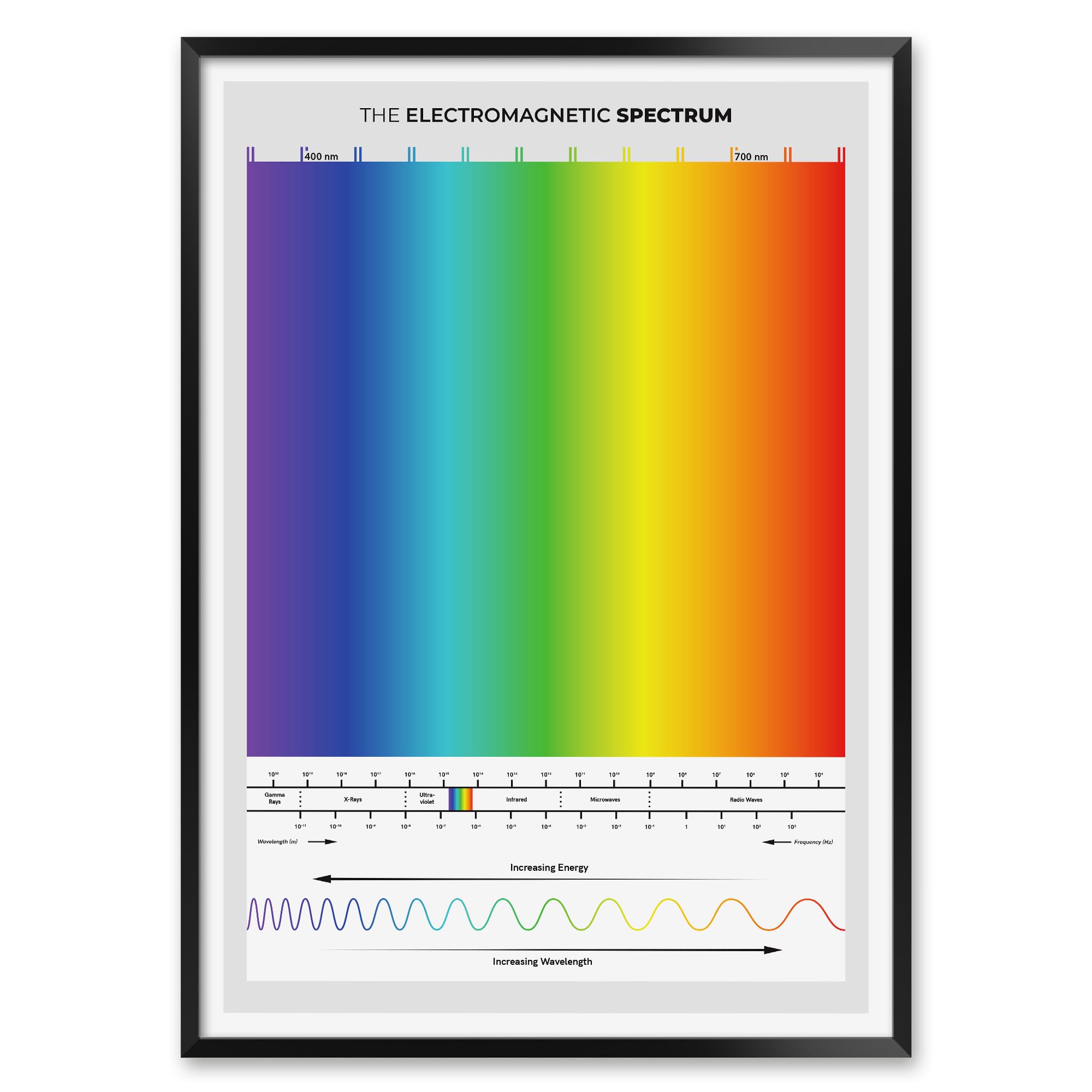 MeloPrints Electromagnetic Spectrum Print, Physics Reference Chart for Students, Educators, and STEM Learners, Gray