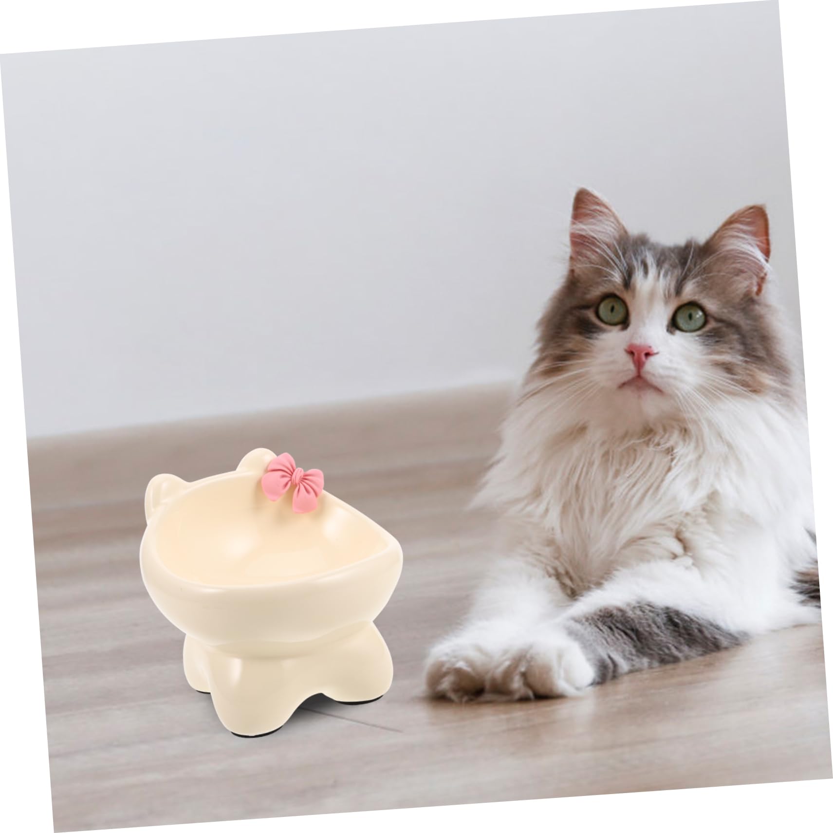 ifundom Erhöhter Keramik Katzennapf mit Schrägmund Leicht zu Reinigen Auslaufsicher für Katzen und Kleine Hunde Beige