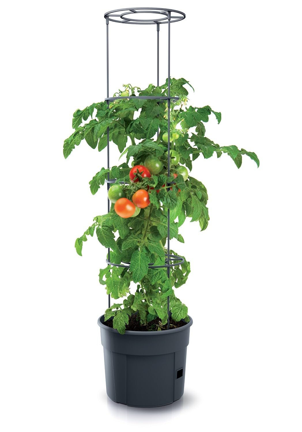 Urbn Garden Black Tomato Grower Tower Plastic Home Indoor/Outdoor Plant Veg Flower Pot (Medium - 350Mm)