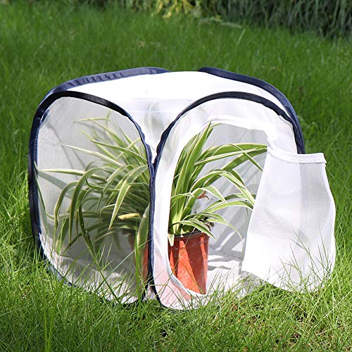 Image of Insect and Butterfly Habitat Cage Terrarium Pop-up 12 X 12 X 12 Inches (Pack of 2)