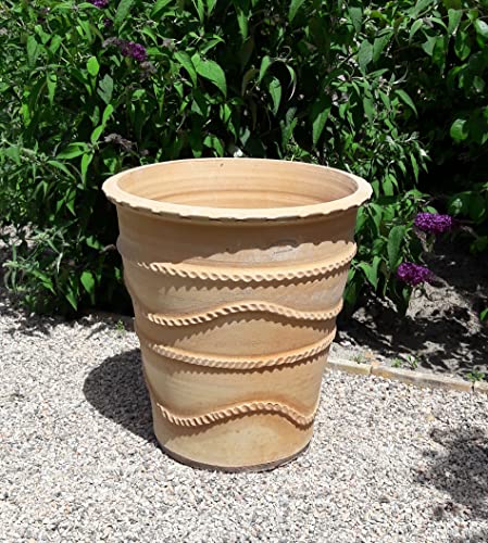 Palatina Werkstatt Terracotta Blumentopf Acanthus 50cm - 100% Handgefertigter Terracotta Pflanzkübel für den Garten & Innenbereich – Robust & Stilvoll zu jeder Jahreszeit