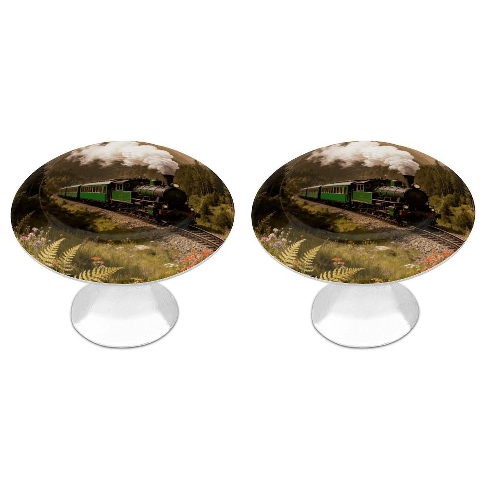 DWVTSLH Steam Car in The Woods Cabinet Handles 2 Pack Stainless Steel Kitchen Drawer Pulls with Installation Screws Round Dresser Drawer Knobs 1.1 Inch Modern Cabinet Hardware Door Handles