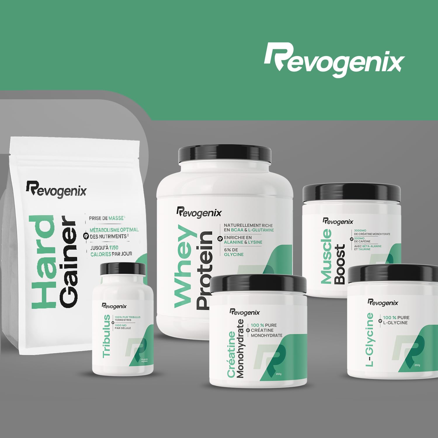 Hard Gainer | Caséine Micellaire & Maltodextrine | Prise de Masse Musculaire | Hypercalorique Glucides & Protéines | Chrome & Vitamine B | Mass Gainer Musculation | 2kg Saveur Chocolat | Revogenix