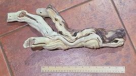 Review Image by Kindle Customer Kindle Customer