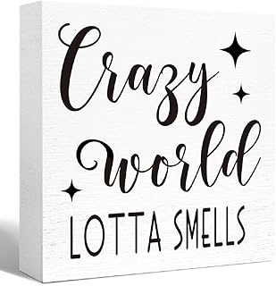 Funny Crazy World Lotta Smells Wood Block Sign For Shelf, Tabletop Decor - Farmhouse Bathroom Vintage Wood Box Sign,5X5 Inch