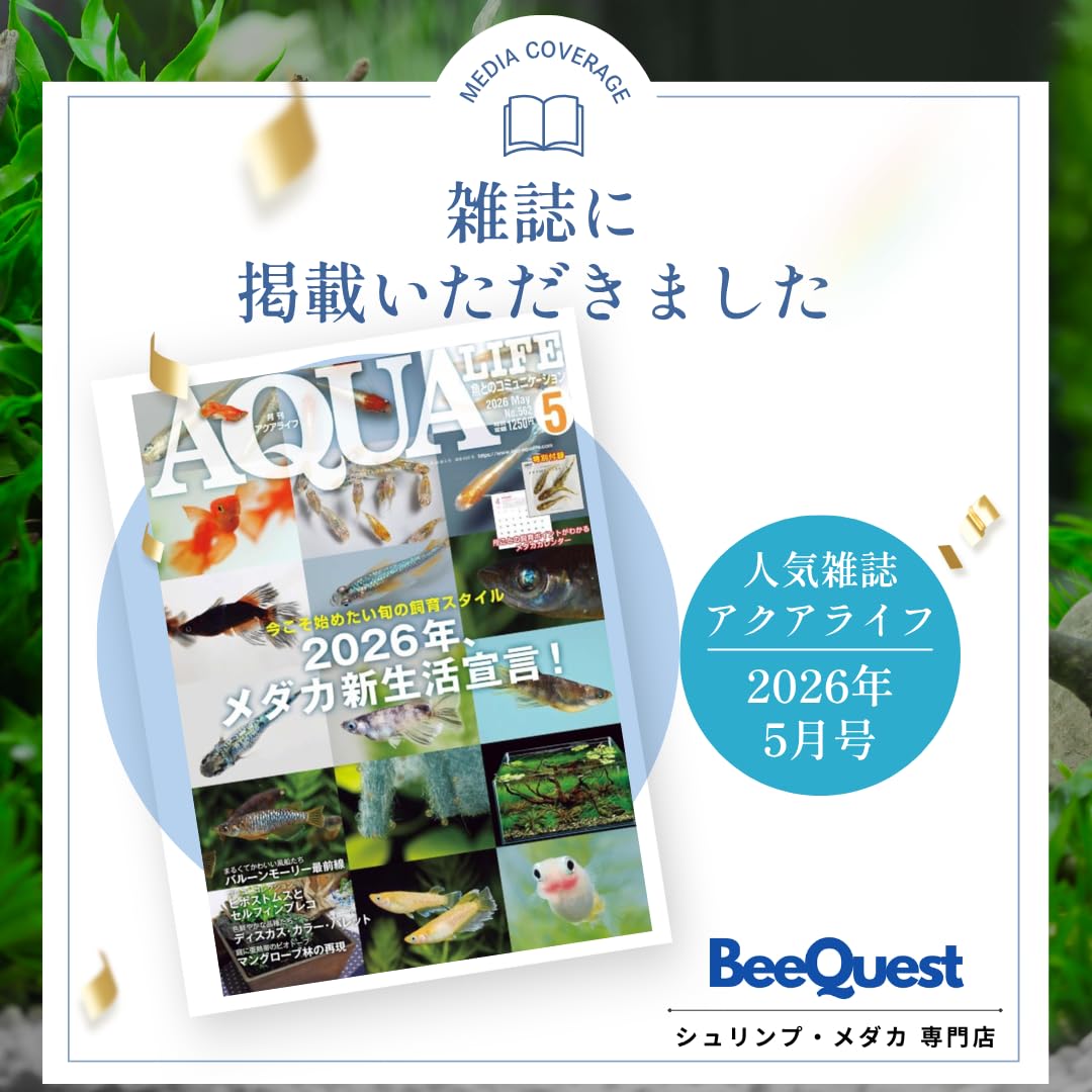Amazon | 【BeeQuest】～ブリーダー推奨～ シュリンプ専用飼料 成長に