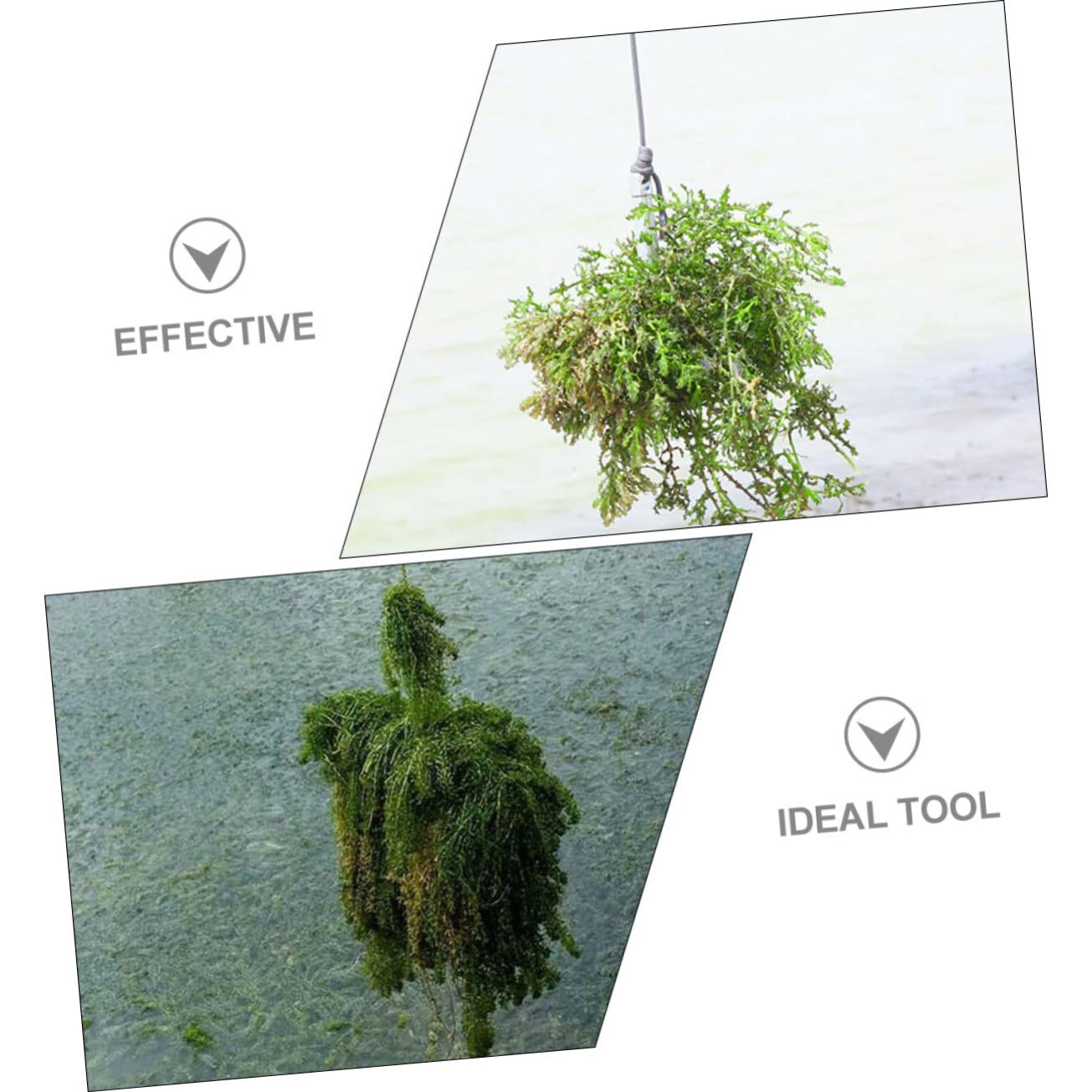 Rasoir Pliant en Acier Inoxydable pour Plantes Aquatiques, Outil de Désherbage et Débris, Facile à Ranger, pour Nettoyage de Lacs et Bassins Couleur Aléatoire