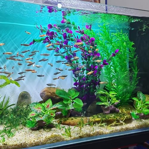 Image of 20.47 Inch Tall Aquarium Plants - Large Lifelike Artificial Fish Tank Decorations, 2 Pcs Fish Tank Plants Plastic, Durable & Safe for Freshwater /Saltwater Aquariums (Green (Style D))