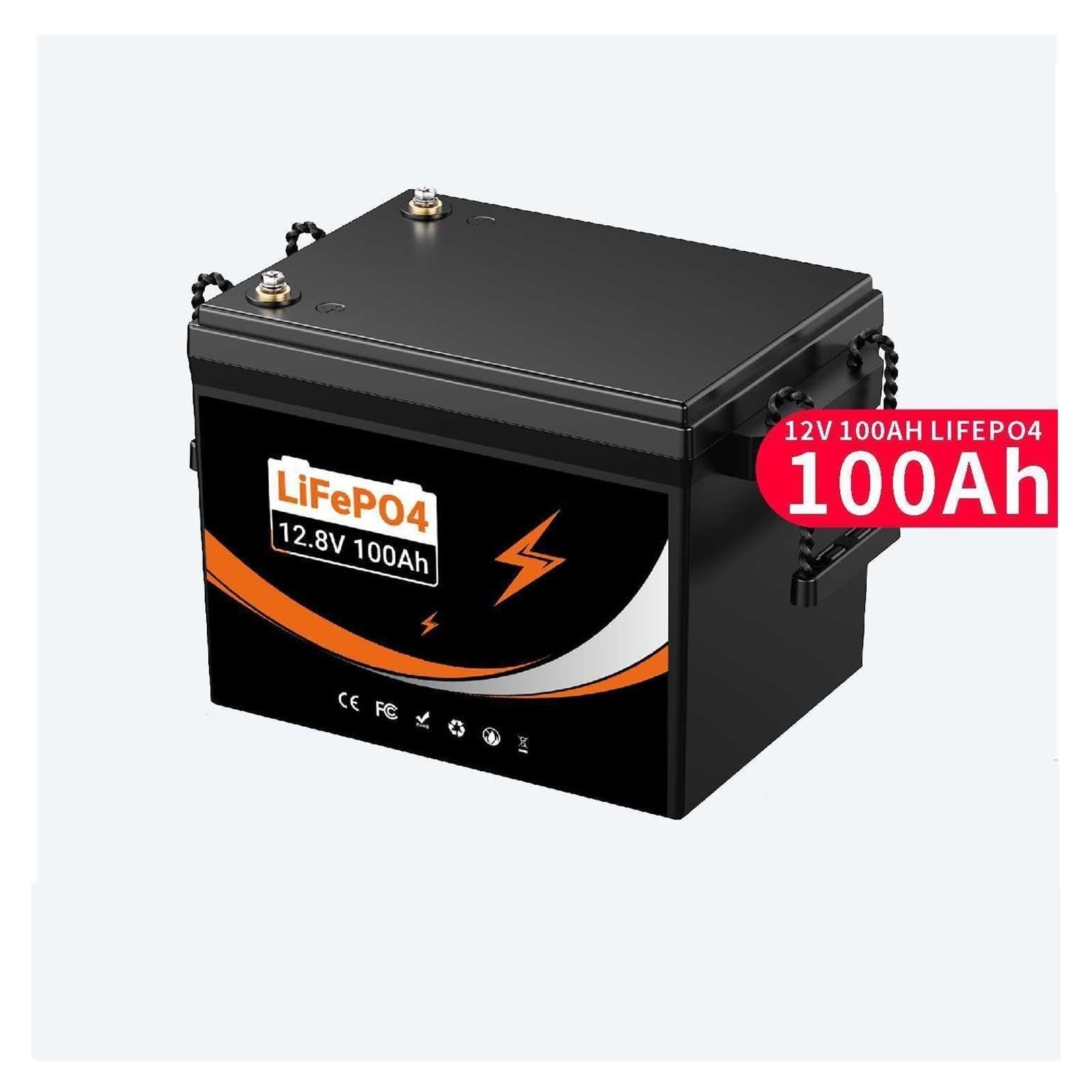 Batteria Al Litio LiFePO4 12V 100AH ​​con Bluetooth