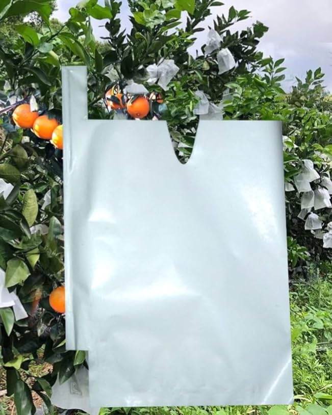 White Paper Fruit Protection Bag (Pack of 25)-image-43