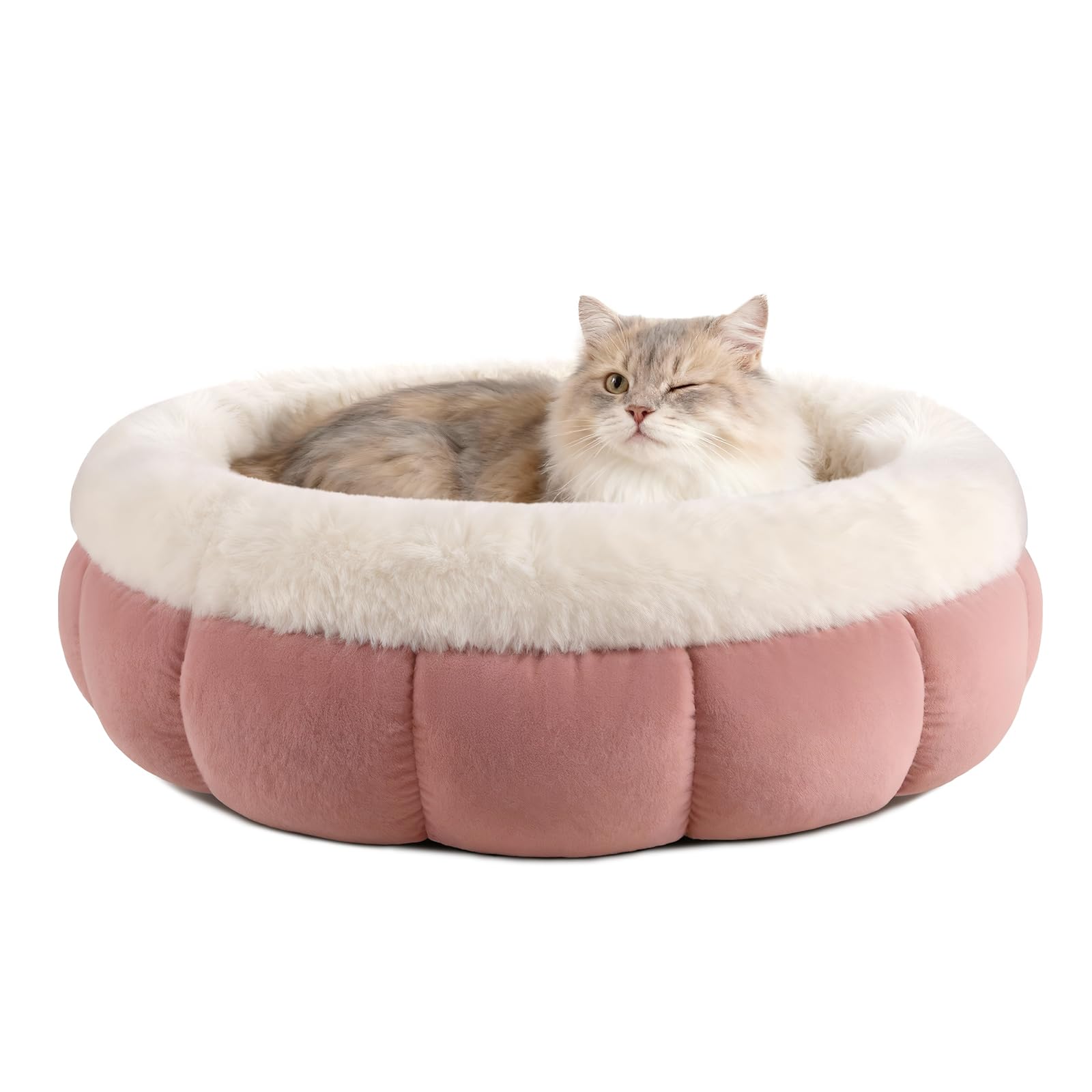 Petit lit rond pour chat EDMIENS lavable en machine pour éliminer les poils