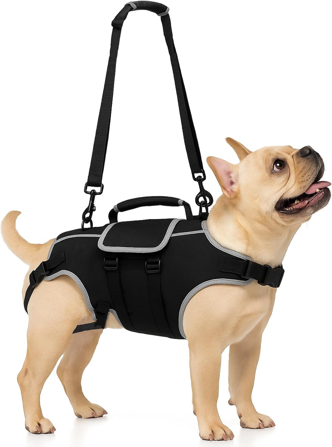 Full Body Dog Lift Harness - Help Small Dogs Up Adjustable Mobility Support Aid for Injured or Senior Dog and Dogs Hind Leg, Black S