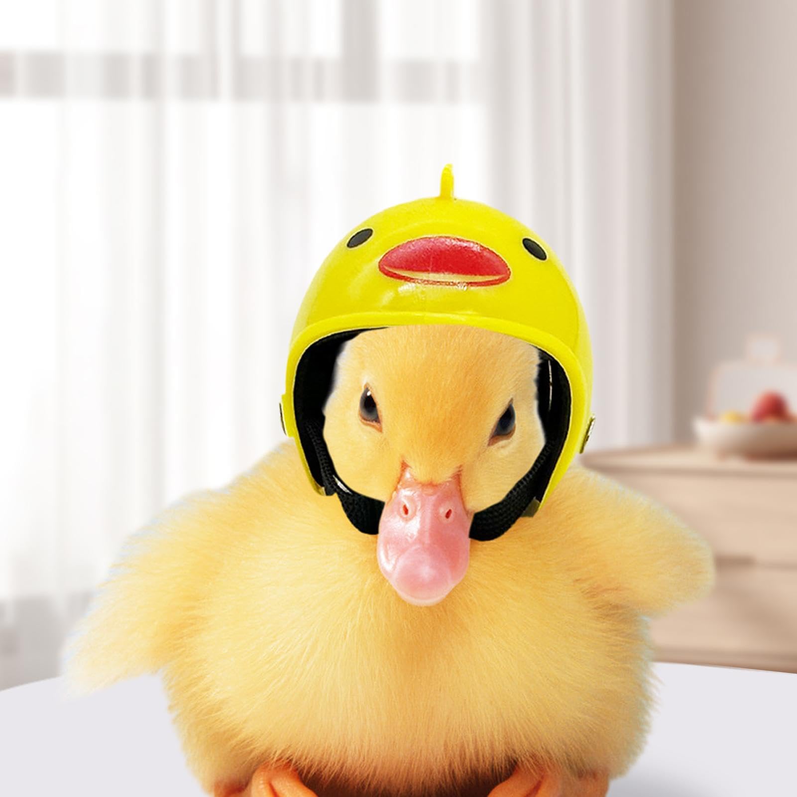 Amazon | Generic ペットの帽子、鳥の帽子, 鳥の帽子鳥用ミニニワトリ