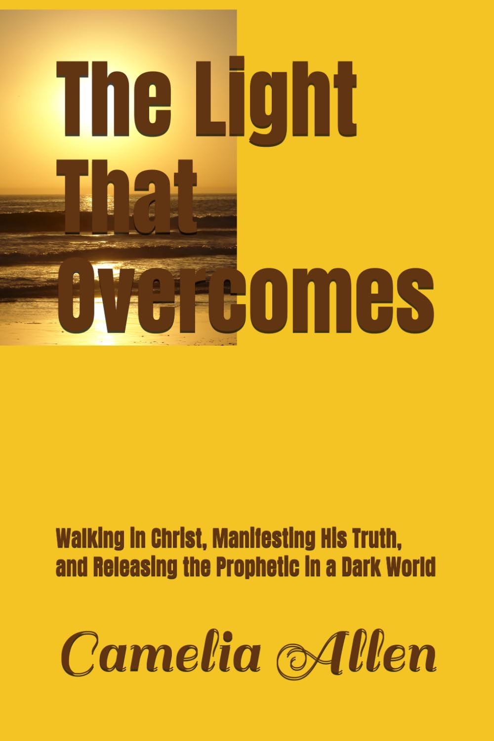 The Light That Overcomes: Walking in Christ, Manifesting His Truth, and Releasing the Prophetic in a Dark World