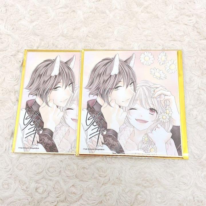 Amazon.co.jp: ちゃおフェス Sho-Comi 白石ユキ サイン入り色紙