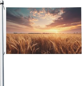 Dreamy Landscape Vast Golden Wheat Field Yard House Flags,3x5 Ft Season Greeting Banner With Grommets Indoor Outdoor Party Home Decorations