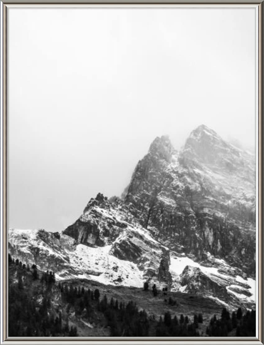 Amazon.co.jp: 28 x 37ポスターフレーム – プロファイル: # 16