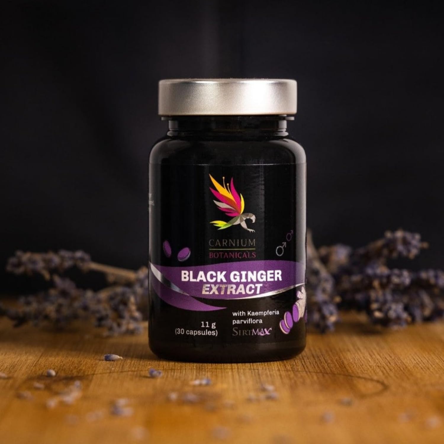 Carnium Botanicals Black Ginger Extrakt, 30 Kapseln | Vegane Ingwer Kapseln, Glutenfrei, Laktosefrei, Bio Ingwer Extrakt