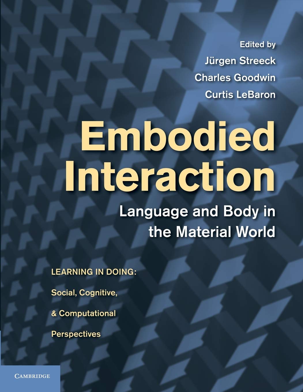 Embodied Interaction: Language And Body In The Material World (Learning in Doing: Social, Cognitive and Computational Perspectives)