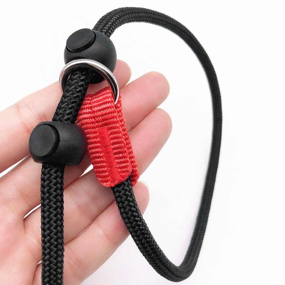 Laisse Dressage Rembourrée Corde,1,4 m Laisse de Contrôle Professionnelle avec 2 Poignées pour Chien Chiots de Petite Taille Moyenne
