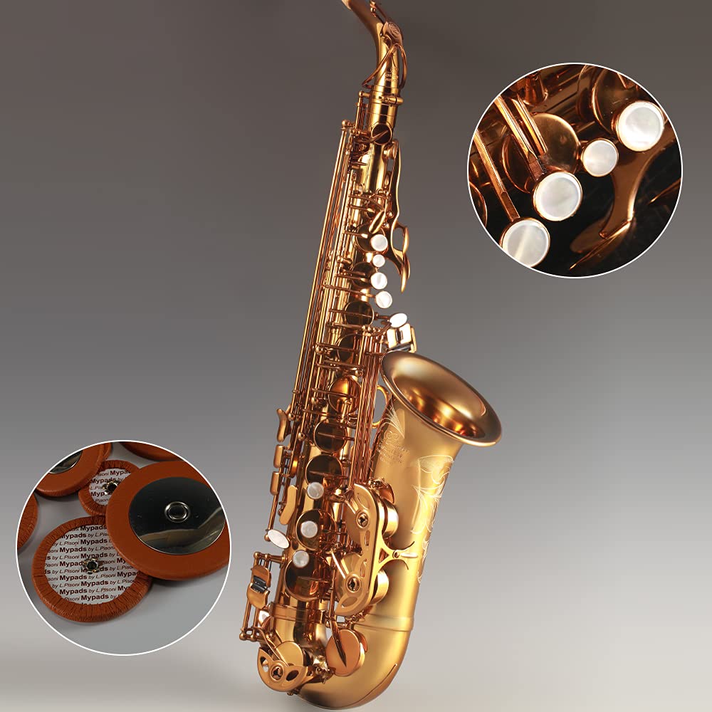 Rollins Saxophone alto RSA-9901,E flat Selmer 802-Key,Matière laiton, Or