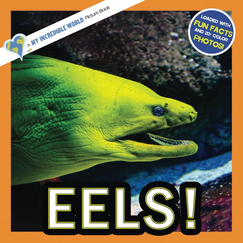 Eels!: A My Incredible World Picture Book for Children (My Incredible World: Nature and Animal Picture Books for Children)