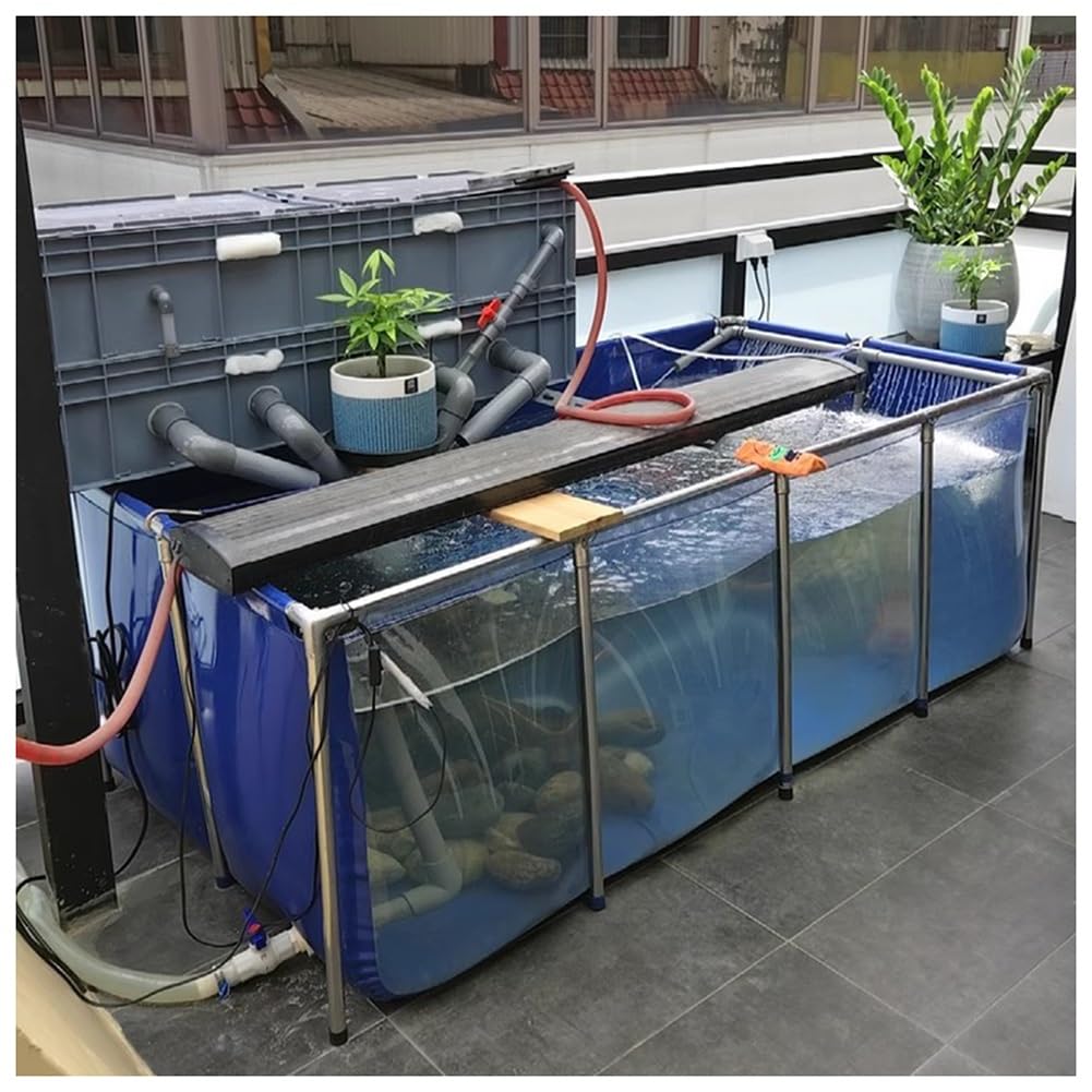 Außenfischteich mit Sichtfenster, großer Aquakulturpool für Koi, Goldfische, Schildkröten