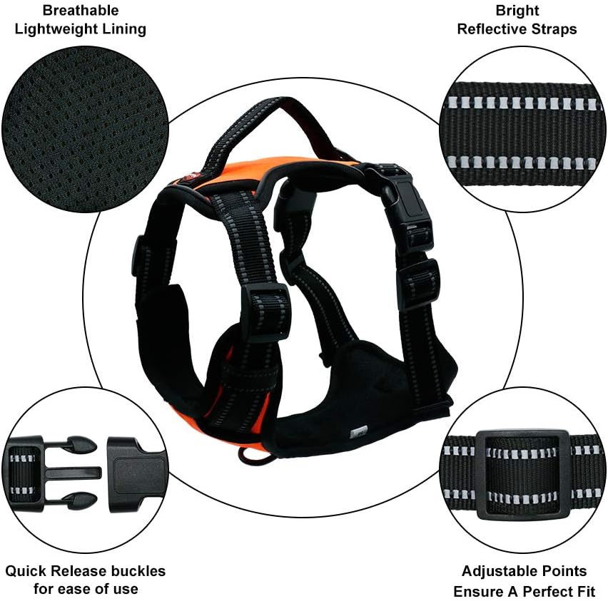 Dog Harness No Pull Dog Vest with Leash Adjustable & Reflective Pet Vest Harnesses and Leash Easy Control for Small Medium Large Dogs (Large, Orange)