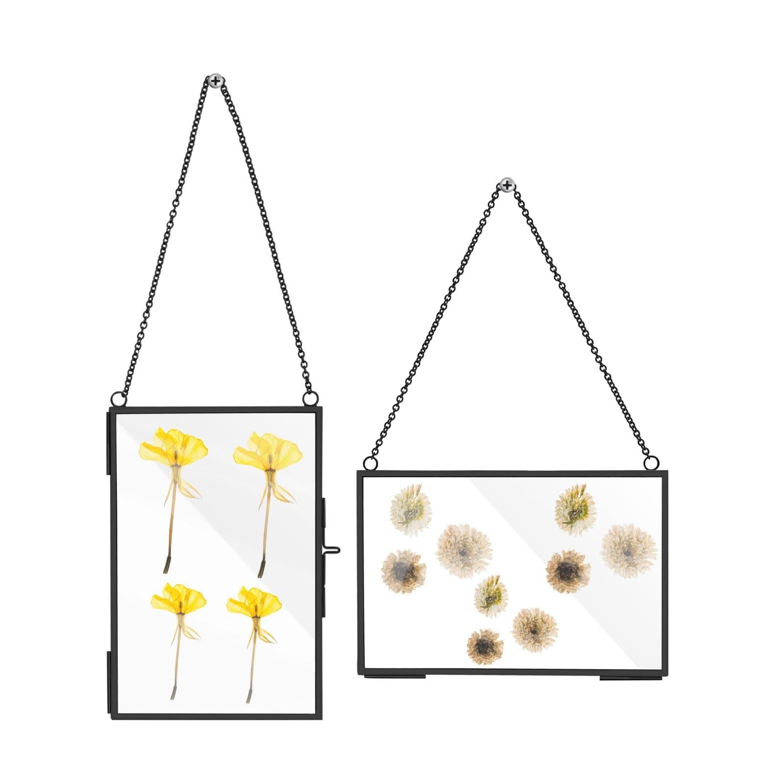 Cadres en verre et laiton pour fleurs pressées : créez votre mur végétal