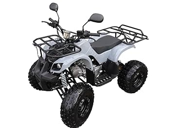 エンジン　バギー 楽天市場】【リニューアル】バギー 四輪 49cc ミニ ATV YH 4