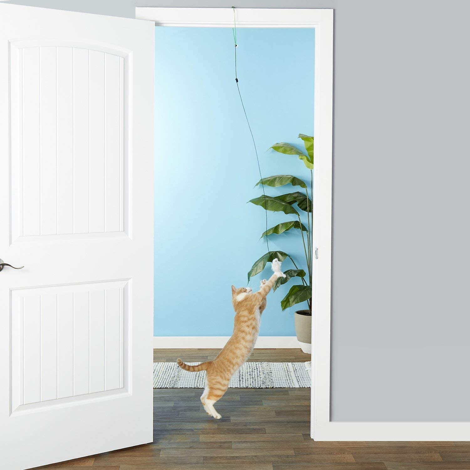 A - door - able Mouse Action Toy