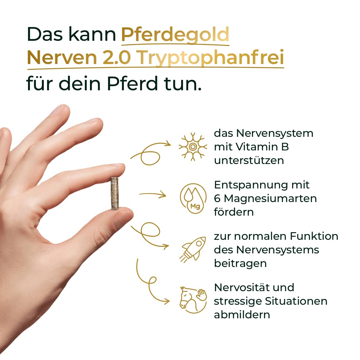 Nerven 2.0 + Muskeln+ Bundle für Pferde – Magnesium-Komplex & Omega-3 zur Stressunterstützung + Muskelaufbau Pellets mit 52% Protein & 21 Aminosäuren – Made in Germany