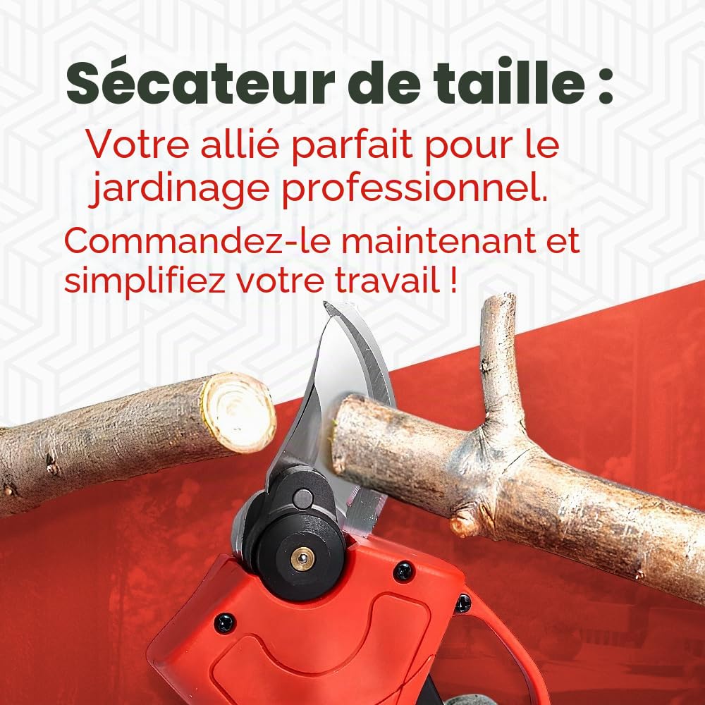 Sécateurs électriques avec 2 batteries de 48V et mallette, cisailles portables professionnelles – Découpe précise et assistance batterie immédiate (Rouge)